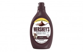 Hershey's Sugar Free Syrup Genuine Chocolate Flavor  Plastic Bottle  496 grams